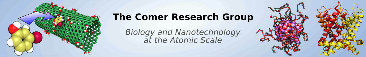 The Comer Group: Biology and Nanotechnology at the Atomic Scale