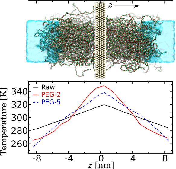 (Top) Simulation of a gold surface coated with polyethylene glycol. (Bottom) Temperature profile of polyethylene glycol coating when gold is heated.